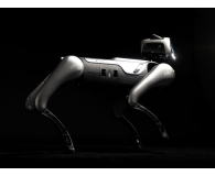 Magiclab Magicdog Edu - 1470907 - zdjęcie 13
